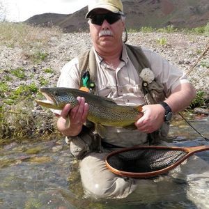 Meet your Posher, Dale